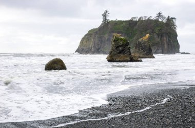 Ruby Beach olimpik Milli Parkı içinde