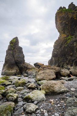Ruby Beach in Olympic National Park clipart