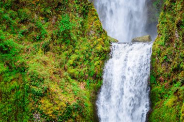 Columbia Gorge Ulusal Manzara alanı