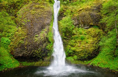 Columbia Gorge Ulusal Manzara alanı