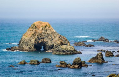 Sonoma Coast devlet Beach