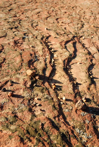 Kanyon de chelly Ulusal Anıtı