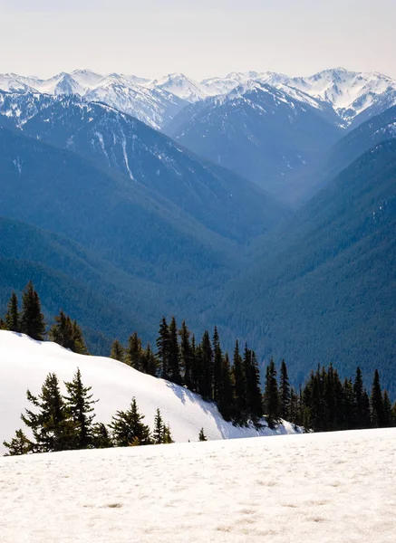 Kasırga ridge olimpik Milli Parkı