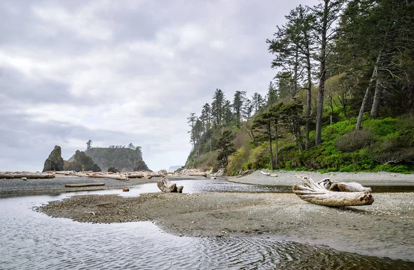Ruby Beach olimpik Milli Parkı içinde