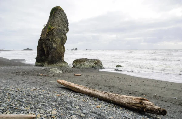 Ruby Beach olimpik Milli Parkı içinde