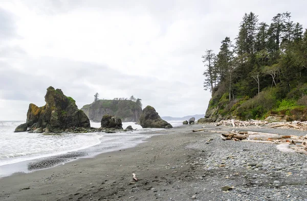 Ruby Beach olimpik Milli Parkı içinde