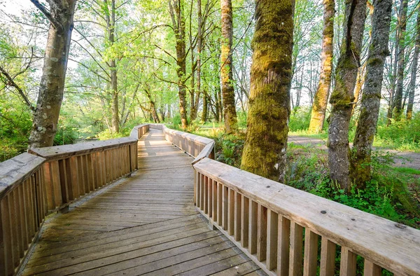 Nisqually Milli Yaban hayatı Sığınağı