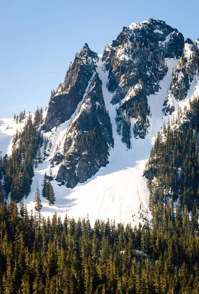 Mount Rainier Nemzeti Park — Stock Fotó