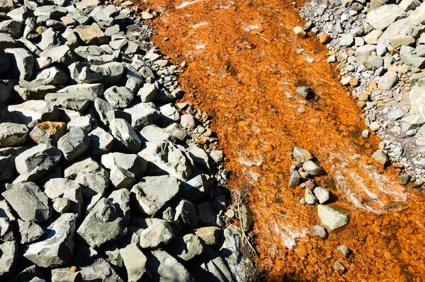 Parque Nacional Monte Rainier —  Fotos de Stock