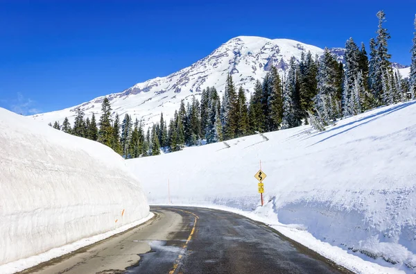 rainier Dağı Milli Parkı