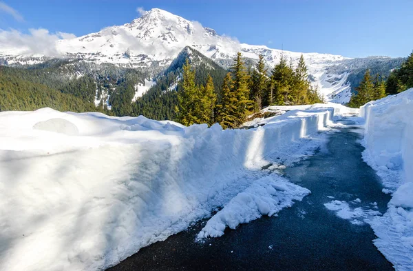 Mount Rainier Nemzeti Park — Stock Fotó