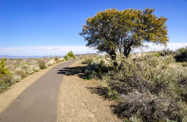 Lav yataklar Ulusal Anıtı