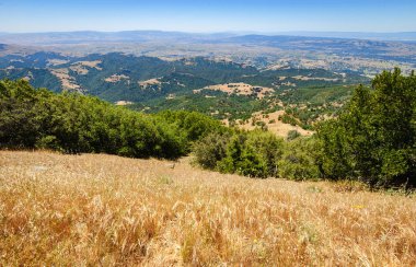 Şeker hastalığı State Park montaj
