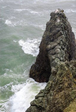 Golden Gate Ulusal rekreasyon alanı, Bonita Light gelin