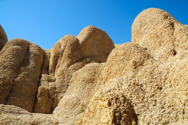 Joshua Tree Ulusal Parkı