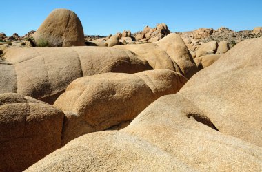 Joshua Tree Ulusal Parkı