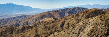 Joshua Tree Ulusal Parkı