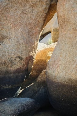Joshua Tree Ulusal Parkı