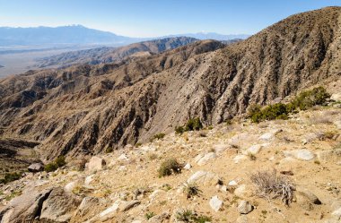 Joshua Tree Ulusal Parkı