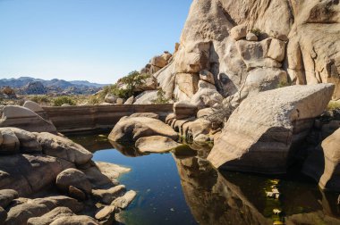 Joshua Tree Ulusal Parkı