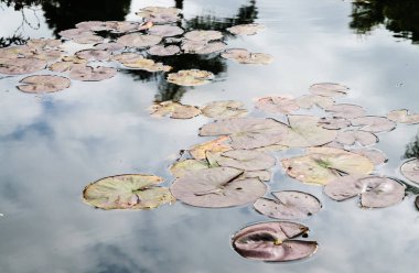 Misyon San Juan Capistrano