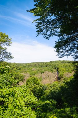 Cuyahoga Vadisi Milli Parkı