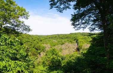 Cuyahoga Vadisi Milli Parkı