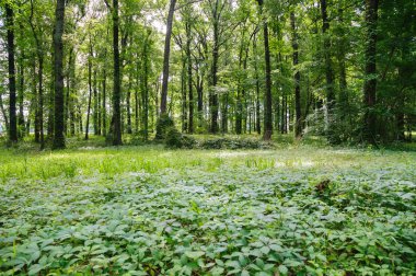 Yoksulluk noktası Ulusal Anıtı