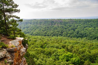 Petit Jean State Park