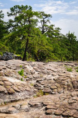 Petit Jean State Park