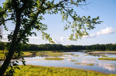 Jamestown Audubon merkezi ve kutsal