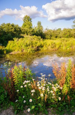 Jamestown Audubon merkezi ve kutsal