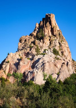 Tanrıların Bahçesi