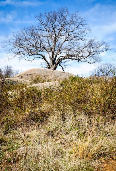 Militärpark Gettysburg — Stockfoto