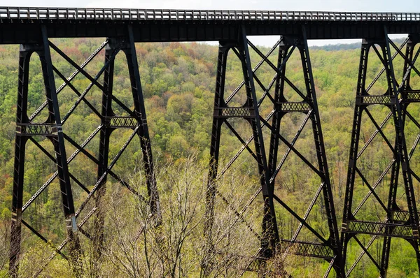 Park Stanowy Kinzua Bridge — Zdjęcie stockowe