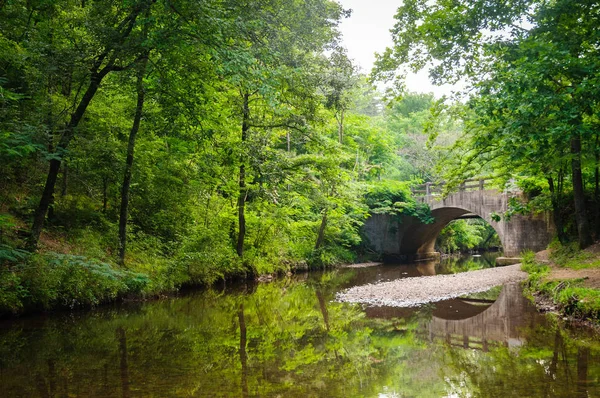 Gorące Źródła Park Narodowy — Zdjęcie stockowe