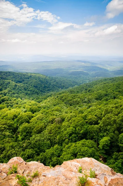 Mount Časopis Státní Park — Stock fotografie