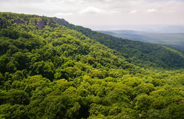 Mount Časopis Státní Park — Stock fotografie