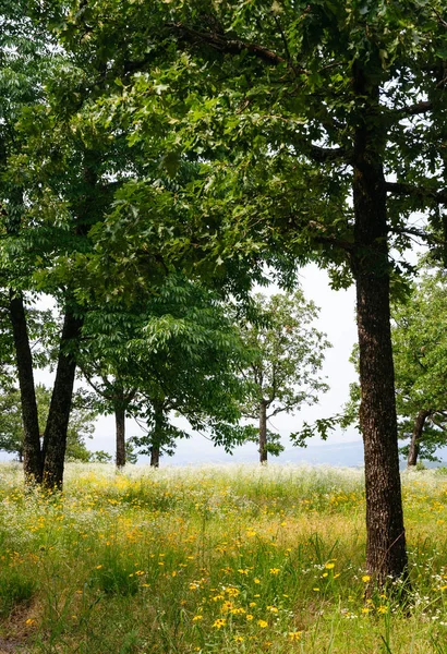 Petit Jean State Park — Foto Stock