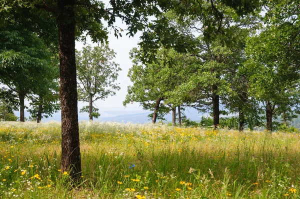 Petit Jean State Park — Foto Stock