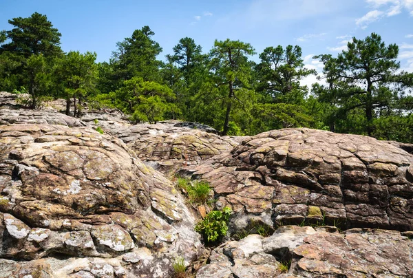 Petit Jean Κρατικό Πάρκο — Φωτογραφία Αρχείου