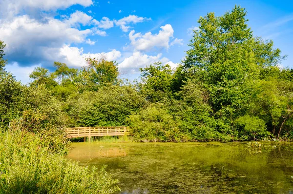 Jamestown Audubon Center Sanctuary — Stock Photo, Image