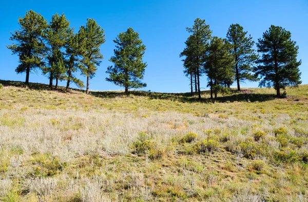 Florissant Camas Fósiles Monumento Nacional — Foto de Stock