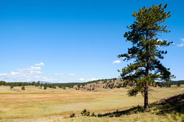 Florissant Fossil Beds National Monument — Stock Photo, Image
