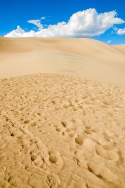Great Sand Dunes Ulusal Parkı