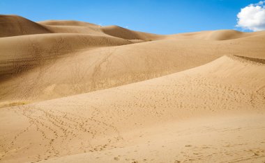 Great Sand Dunes Ulusal Parkı