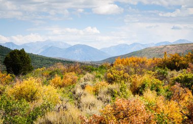 Gunnison Ulusal Parkı 'nın Kara Kanyonu
