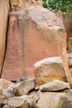 Capitol Resifi Ulusal Parkı