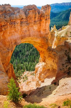 Bryce Kanyonu Ulusal Parkı