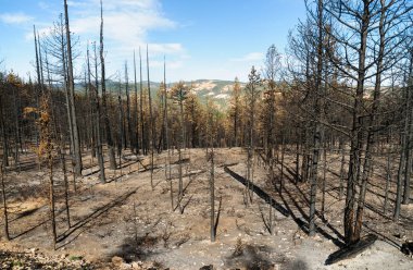 Bryce Kanyonu Ulusal Parkı